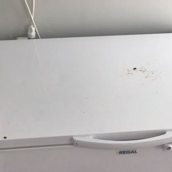 Regal Ürünleri Pişmanlıktır.