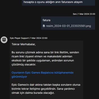 Epic Games Hesap Çalınması Ve Kütüphanemin Bomboş Olması