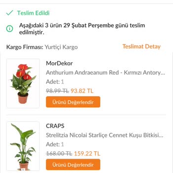 Trendyol Bi Kaktüs Dünyası Satıcısı Boş Kargo Gönderdi!