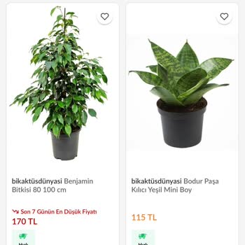 Trendyol Bi Kaktüs Dünyası Satıcısı Boş Kargo Gönderdi!