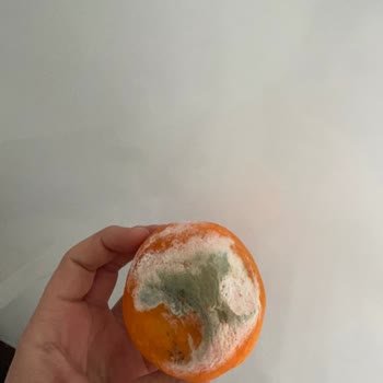 Migros Sanal Marketteki Gıda Ürünlerinin Tüketilebilir Halde Olmaması