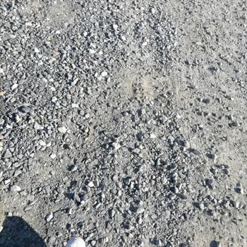 Karayolları Genel Müdürlüğü Yolun Asfalt Olması İsteği