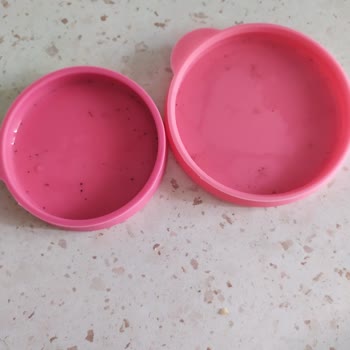 Lav Su Şişesi Kapağı Mantar Oldu