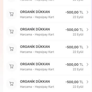 Yapı Kredi Kadın Girişimcinin Parasına 6 Aydır El Koyuyor.
