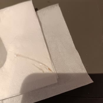 Derya Ton Balığı Plastik Parça Çıktı