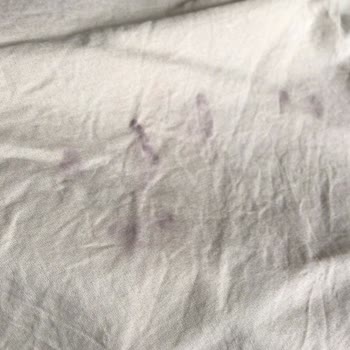 English Home Lekeli Çarşaf Gönderimi