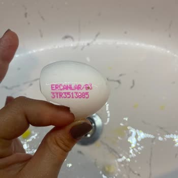 Ercanlar Yumurtadan Civciv Çıktı