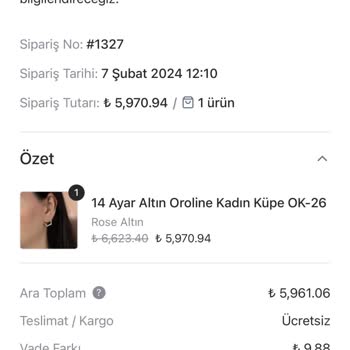 Oroline Kuyumculuk Hayal Kırıklığına Uğratan Küpe Deneyimi