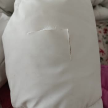 Zara'dan Aldığım Mont