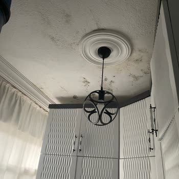 Türkiye Sigorta Tarafıma Ödenecek Tazminat Düşüklüğü
