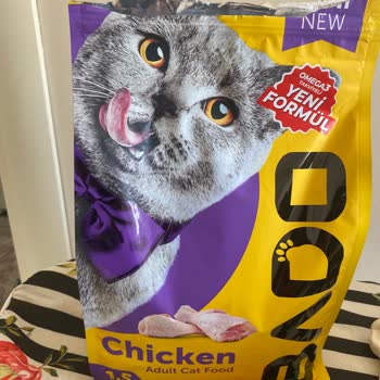 Bado Pet Food Kedim Bado Mama Yüzünden Kanama Geçirdi