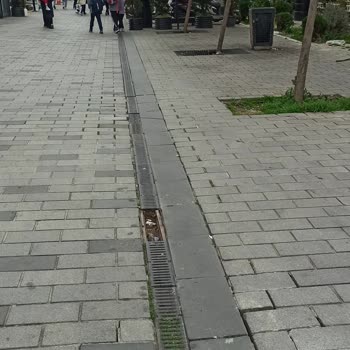 Çekmeköy Belediyesi Çekmeköy Taşdelen Trafiğe Kapalı Caddedeki Bakımsızlık