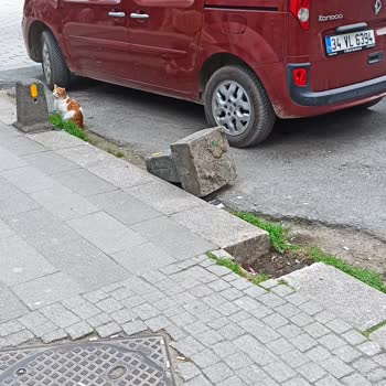 Çekmeköy Belediyesi Çekmeköy Taşdelen Trafiğe Kapalı Caddedeki Bakımsızlık