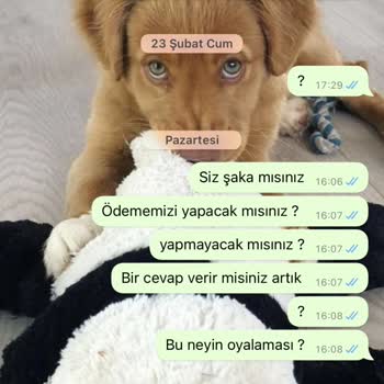 TRT Çocuk Etkinliği Ücret Ve Sigorta Sorunu