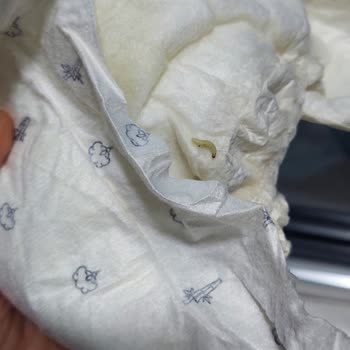 Sleepy Ecologic Bebek Bezinde Kurt Çıktı!