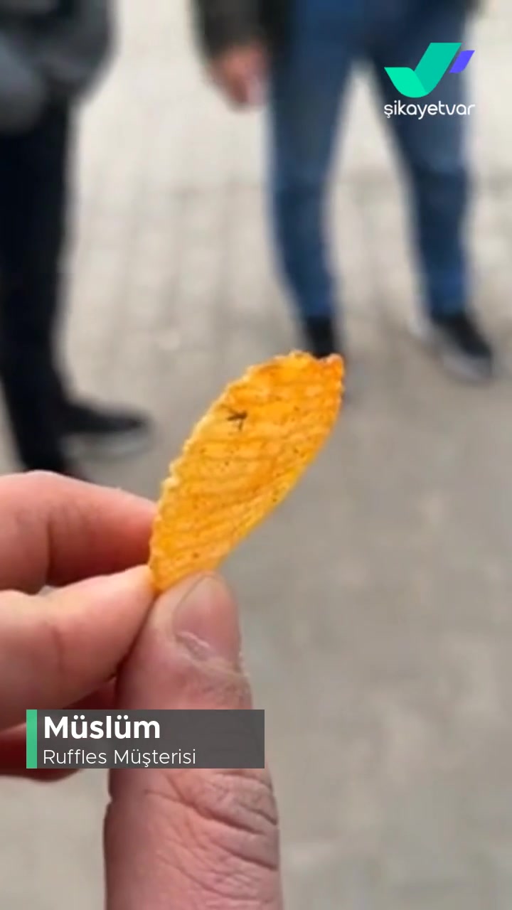 Ruffles Böcek Çıkması videonun kapak resmi