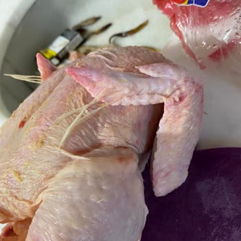 Beyza Piliç Satın Alınan Tavukta Kalite Sorunları