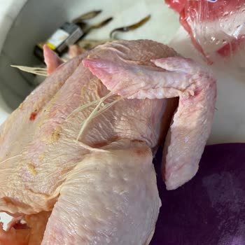 Beyza Piliç Satın Alınan Tavukta Kalite Sorunları