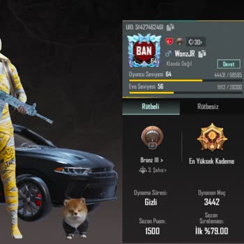 PUBG (Pubgmobile.com) On Yıllık Ban