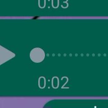 WhatsApp Sesimi Kaydediyor Lakin Ses Yok