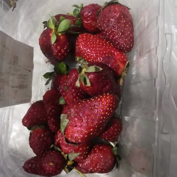 Migros Yarım Kilo Çürük Çilek 50 Lira
