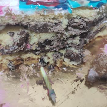 Tatlıbak Rezil Doğum Günü Pastası