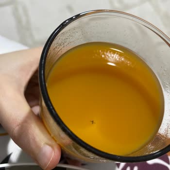 Cappy Atom Sinek Çıktı Ve Hamileyim