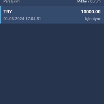 Bitexen İade Aktarım Oldu!