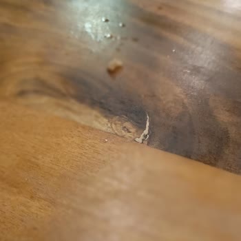 Midyeci Ahmet Bir Yiyen Pişman Bir De Tekrar Yiyen