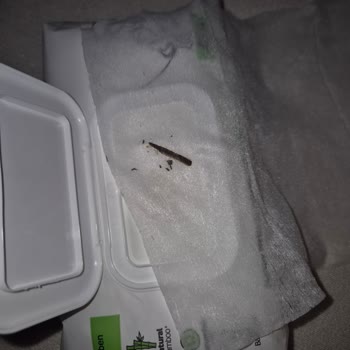 Sleepy Islak Havlu Tehlikeli Madde İçeriyor!