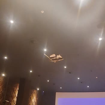 Cinema Pink Sinema Deneyimimiz Gölgede Kaldı