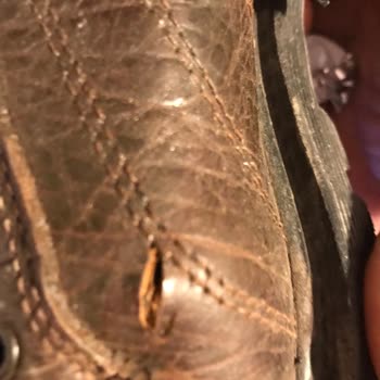 Hotiç Ayakkabı Kusurlu Üründen Kaynaklı Yaşattığı Mağduriyet