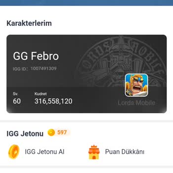 Lords Mobile Hesap Giriş Sorunu, Çalınmış Hesap