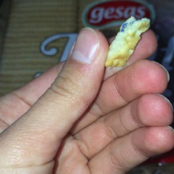 Gesaş Gıda Gesaş Pötibör Bisküvinin İçinden Plastik Madde Çıktı