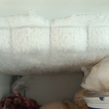 Uğur Soğutma Derin Dondurucu Kullanımı Ve Servis Deneyimleri
