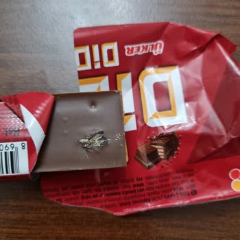 Ülker Dido Dan Böcek Çıktı