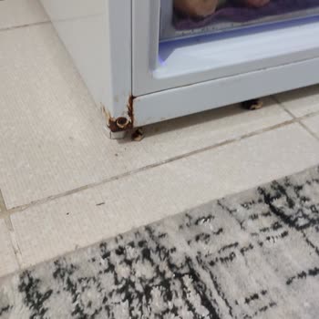 Beko Buzdolabı Paslanma Var Parçası Değişsin