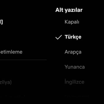 Netflix De Türkçe Dublaj Yetersizliği