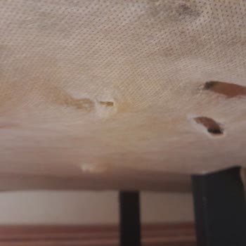 Oğuz Ev Concept Satın Alınan Oturma Grubunda Yaşanan Sorunlar Ve Müşteri Hizmetleri Şikayeti