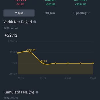 Binance Hesabımı Sıfırladı Param Yok Oldu