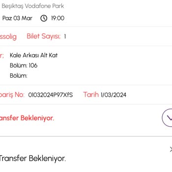 Biletalsat.com Beşiktaş GS Maçı