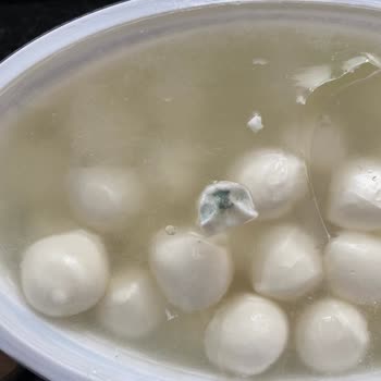 Mis Peynir Topları Küflü Çıktı