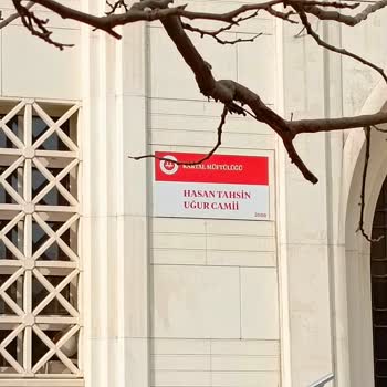 Diyanet İşleri Başkanlığı Camilerin İçler Acısı Durumu