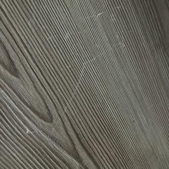 Vivense Ve Sorumsuzlukları Ve İlgisizliği