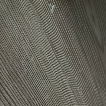 Vivense Ve Sorumsuzlukları Ve İlgisizliği