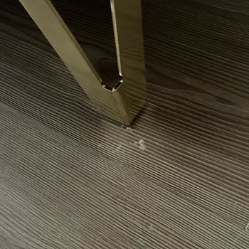 Vivense Ve Sorumsuzlukları Ve İlgisizliği