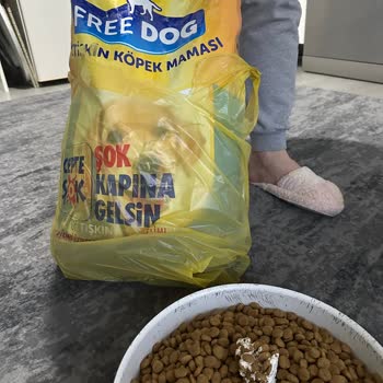 Şok Marketler Şok Köpek Maması Köpekleri Mi Zehirliyor