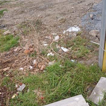 İbb İstanbul Cicekcilik Çevreyi Kirletiyor