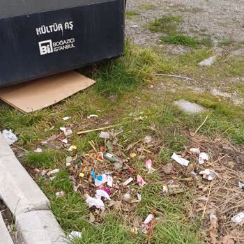 İbb İstanbul Cicekcilik Çevreyi Kirletiyor