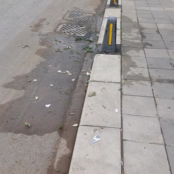 İbb İstanbul Cicekcilik Çevreyi Kirletiyor